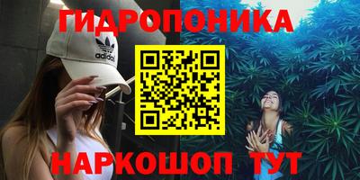 крисы Краснознаменск