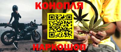 крисы Краснознаменск