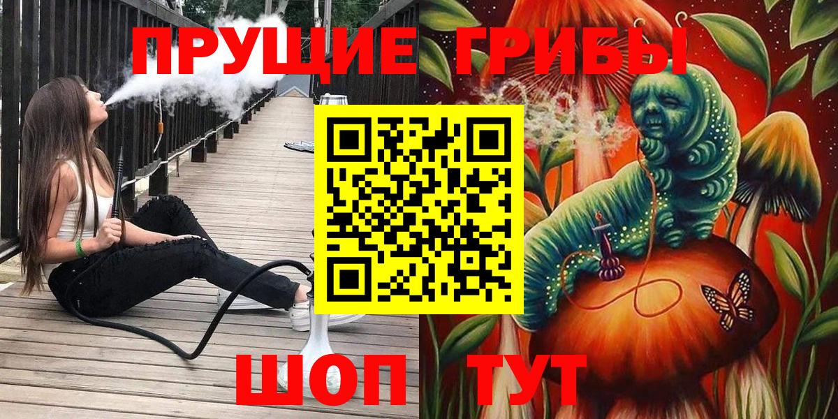 Псилоцибиновые грибы Psilocybe Пушкино